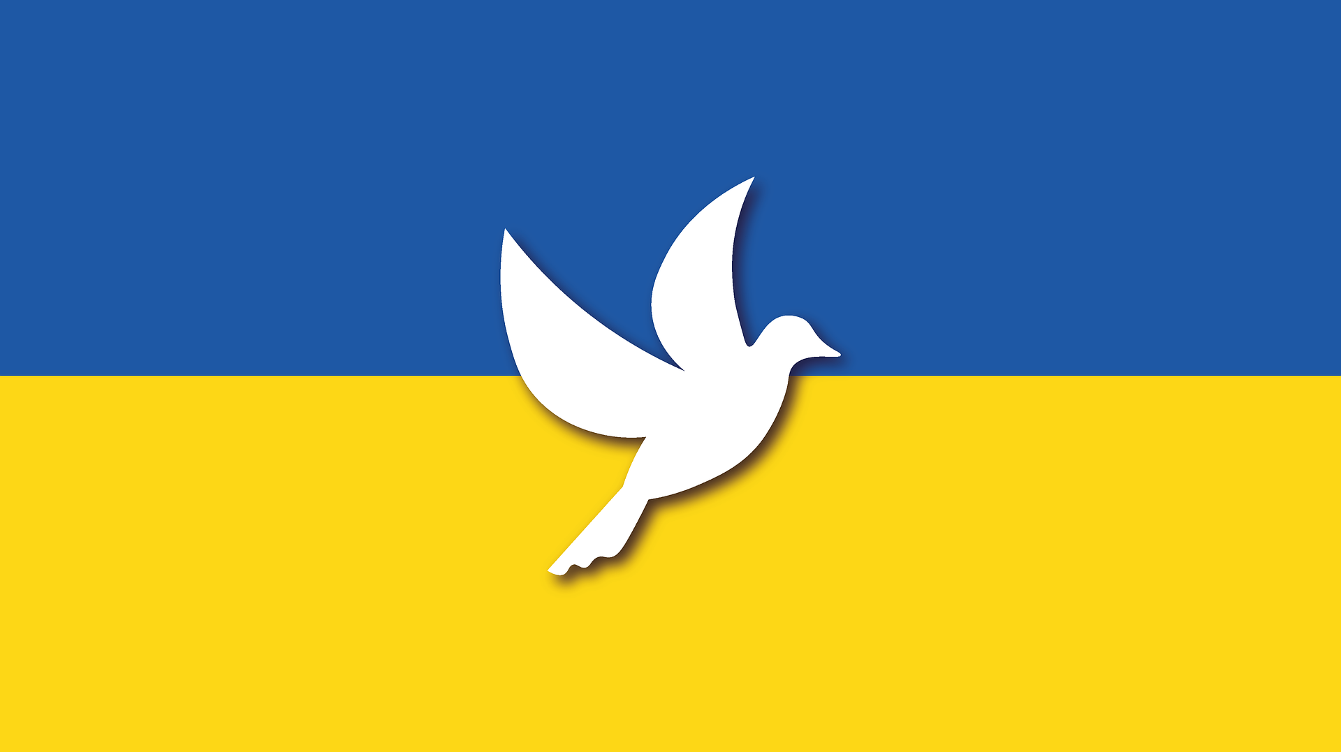 TSG bietet Kriegsflüchtlingen aus der Ukraine kostenlose Mitgliedschaft an